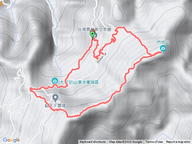 熊空走森林賞櫻花聞茶香眺展望