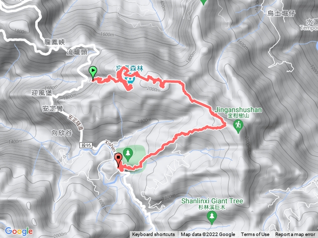 忘憂森林迷走+嶺頭山+金柑樹山+杉林溪杜鵑步道下