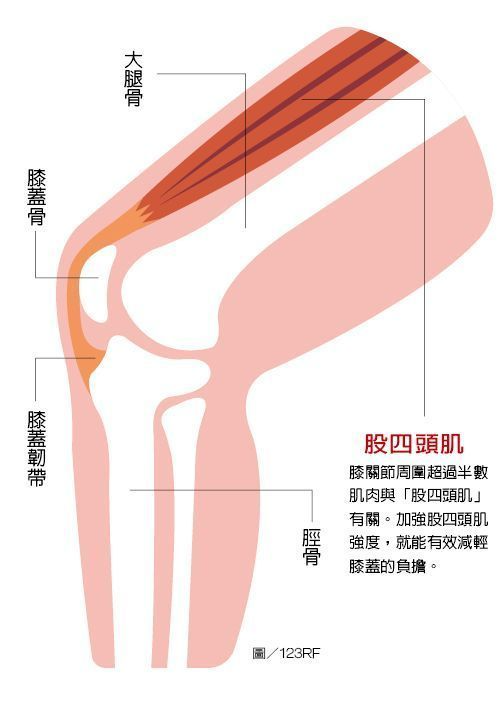 【健康】想要讓膝關節勇健 復健專科醫師說