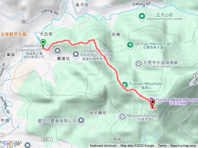 福源山大丘-百年打榕樹