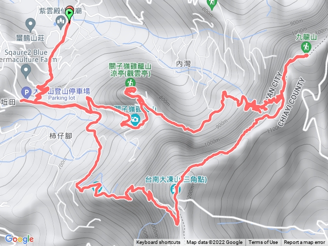 台南雞九凍0型