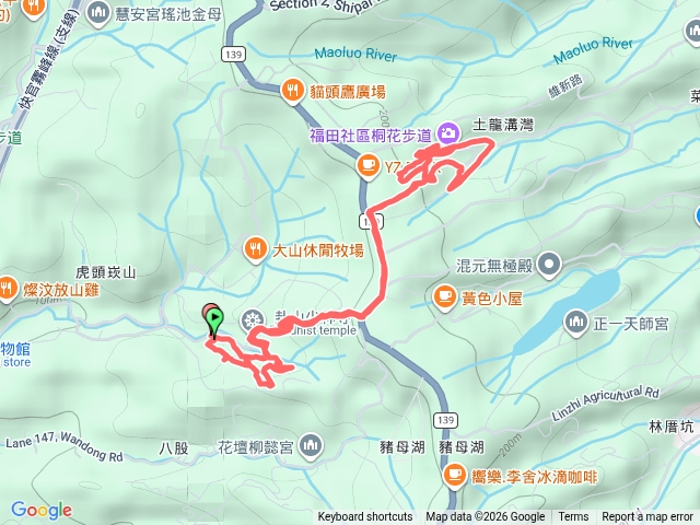 銀行山步道連走福田桐花步道