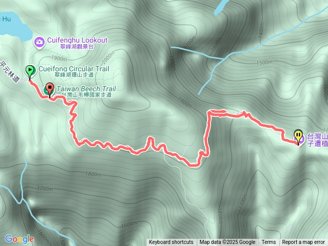 20251201_太平山台灣山毛櫸步道預覽圖