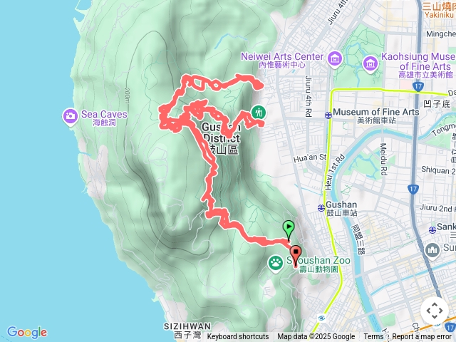 盤榕三進三出20250615