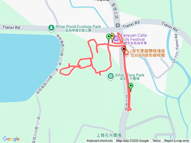 2026桃園彩色海芋季