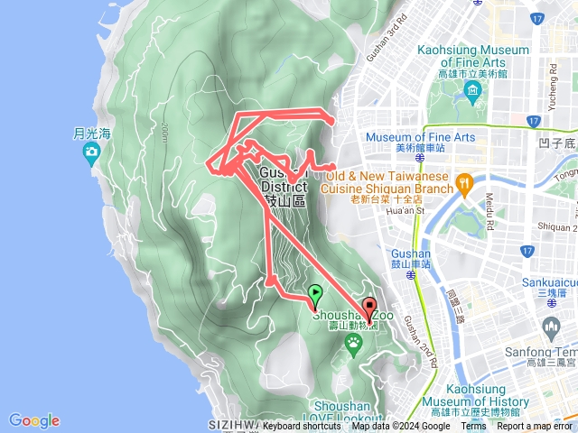 三進柴山盤榕