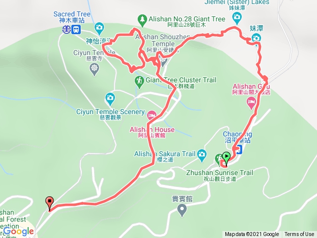 阿里山神木步道