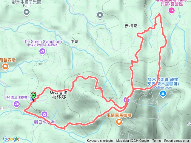 飛鳳山大板根