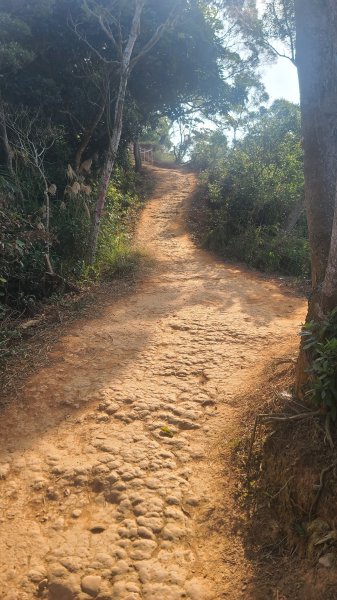 2026-0118新竹新埔文山步道2984657