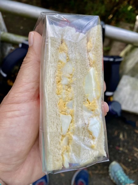 《中正山 × 紗帽山｜穿越北投古道與山林的一日縱走！》2934926