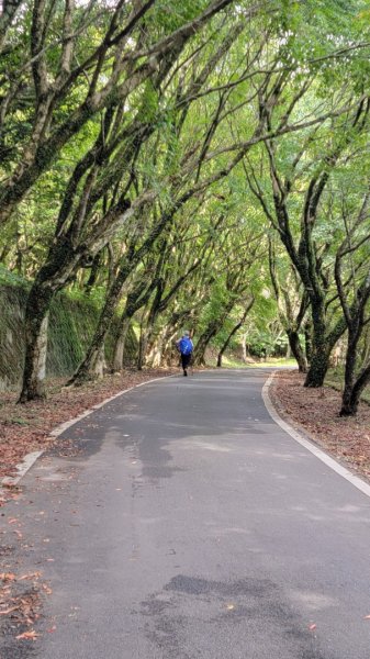 中正山群峰-202409152601553