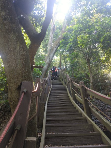 2026.05.02－聚興山步道3045925