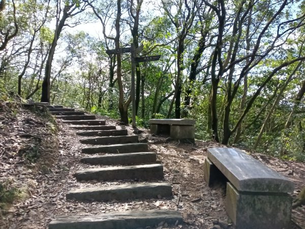 姜子寮山步道2734831