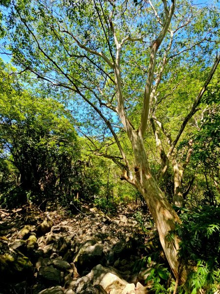 灣潭古道(淡蘭中路)-新北市雙溪區2882673