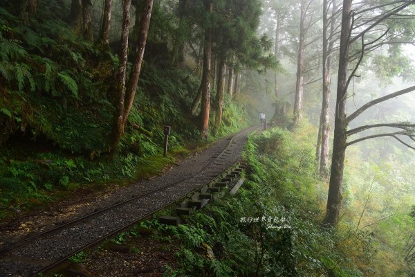 太平山見晴懷古437832