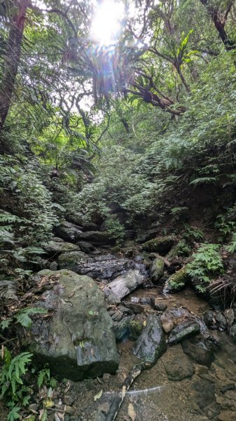 113.06.22坪溪古道-石坑山之旅2533786