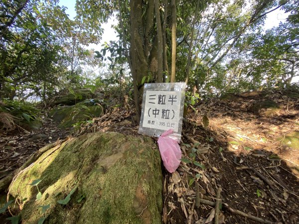 2025微笑山線大縱走尋寶集章任務-Ep.04【天上山系】望月亭桐花段｜石門內尖山東峰 ×石門內尖山2979100