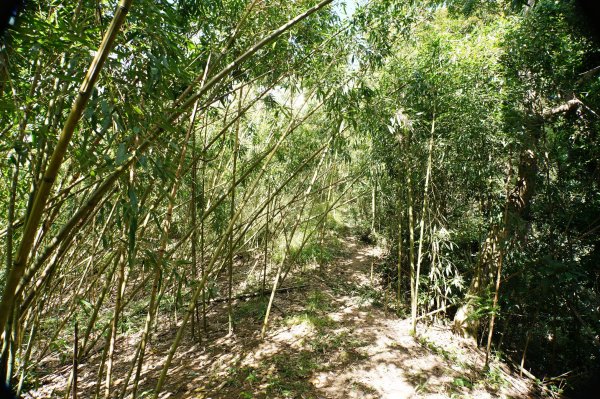 台中 和平 雪山坑山2925065