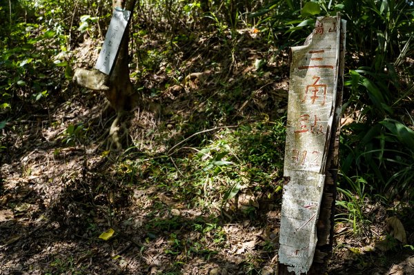 大崗山步道｜小百岳2812776