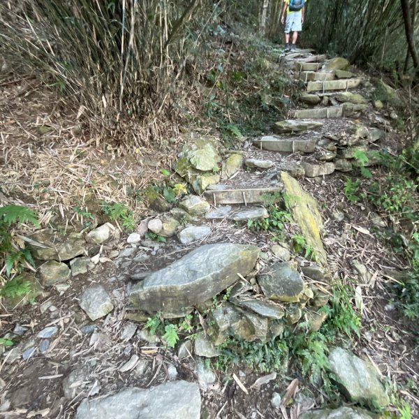 20151117_尾寮山（屏東小百岳）2941603