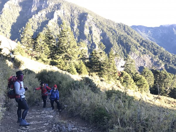 雪山 不下雪532980