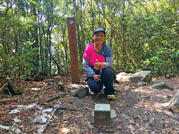 橫嶺山連走鳶嘴山2019/4/30575791