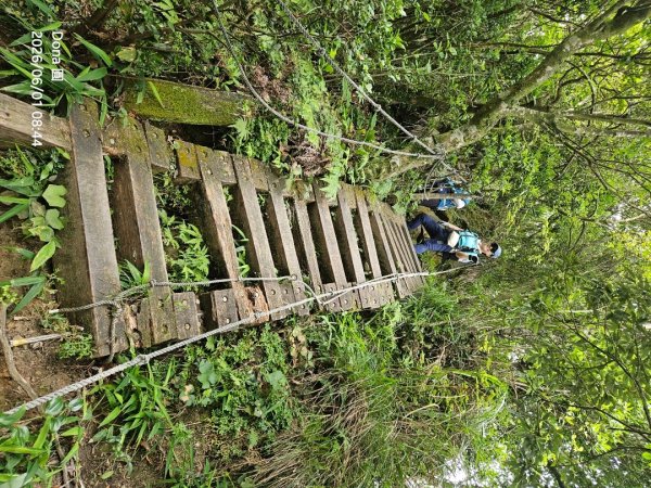 新店小百岳獅頭山+古蹟遺址O走3071935