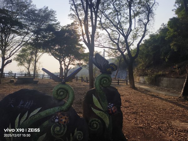 小崗山2025-12-072957846