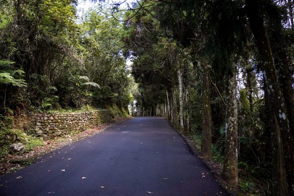 貓囒山小百岳2884990