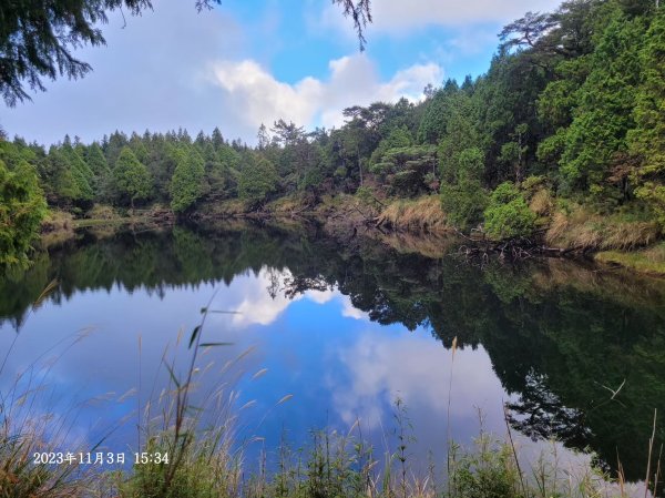 三星山+三星池+望洋山+太平山山毛櫸2432908