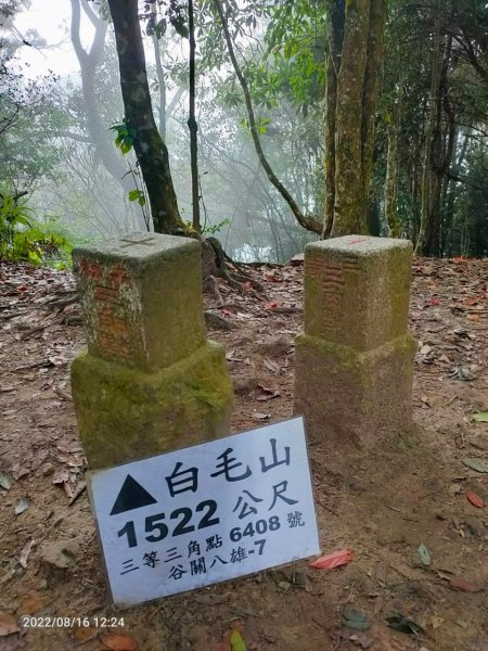 谷關七雄老六白毛山1806955