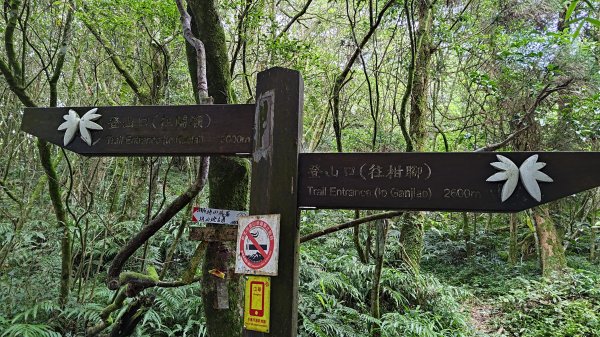 淡蘭古道中路2532759