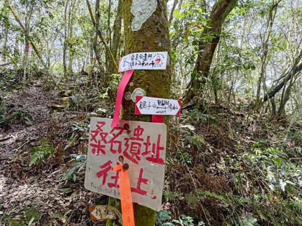 鳴海山、龍頭山步道2157065