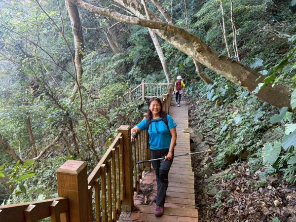 苗栗出磺坑古道、銅纙坑菊2951581