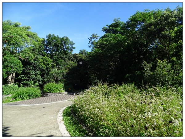 台中/大坑4號步道634909