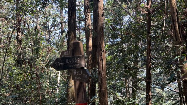 裡冷上唐麻丹O繞+蝴蝶谷2742939