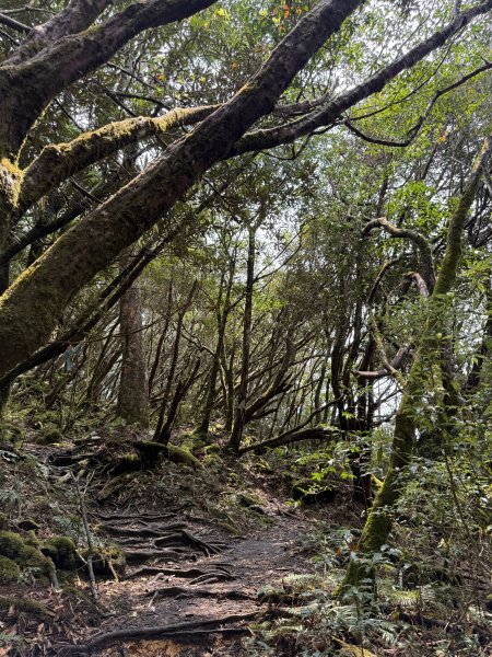 70塔曼山3084218