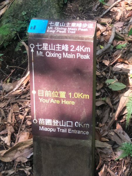 七星山主、東峰登山步道1682129
