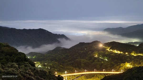 雲山水花鳥蝶-天龍國阿伯的日常 3/29-303026165