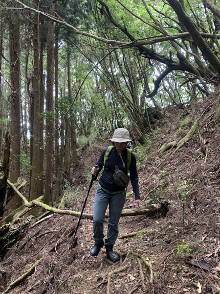 20250517義義兒玉山-東水山2791658