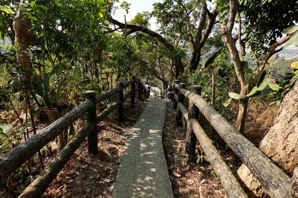 觀音山｜大社觀音山小百岳3002724