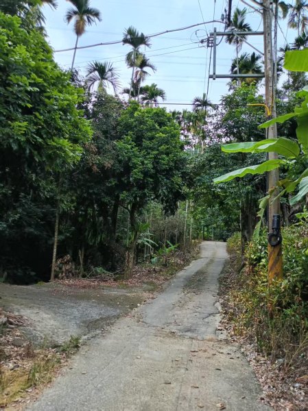 草屯「樹藤岩」台灣省政府圖根補點3131450