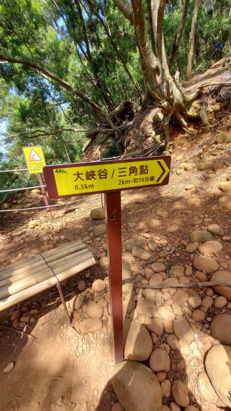 111/04/10苗栗縣三義鄉火炎山南北稜縱走(伯公坑登山口-火炎山-慈濟茶園-三義市區)1673940