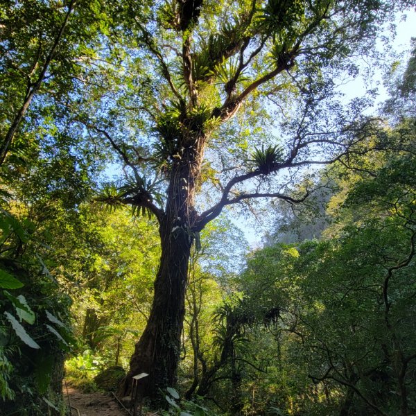 南坪古道、馬胎古道封面