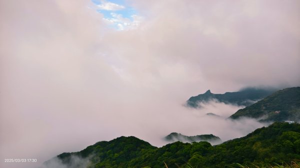 #樹梅坪 #琉璃光 出景首拍 3/32726277