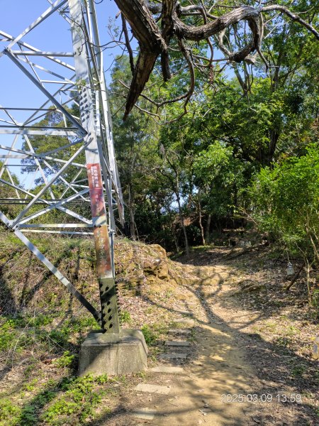 20250309 南觀音山步道 & 青春嶺2731496