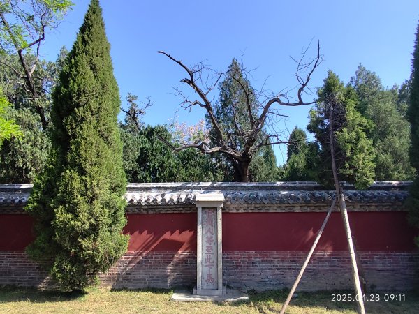 中國山東曲阜孔廟2780582