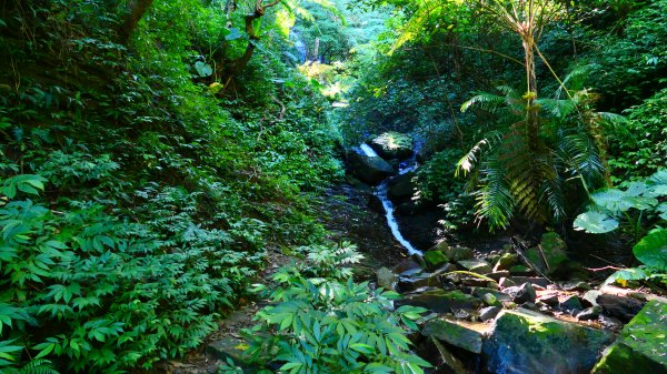 大尖山瀑布2932169