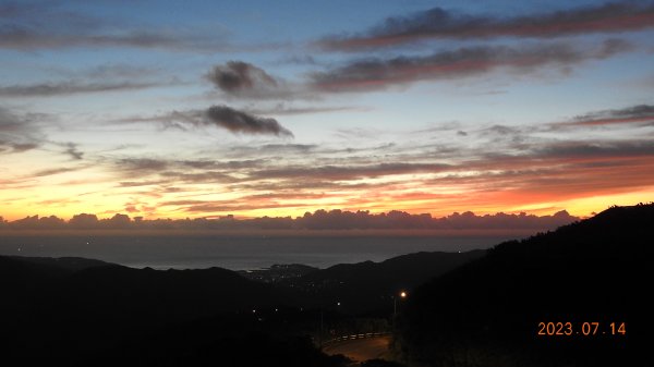 雲山水花鳥蝶 - 天龍國阿伯的日常，沒鳥也沒蝶槓龜 7/14&172217424