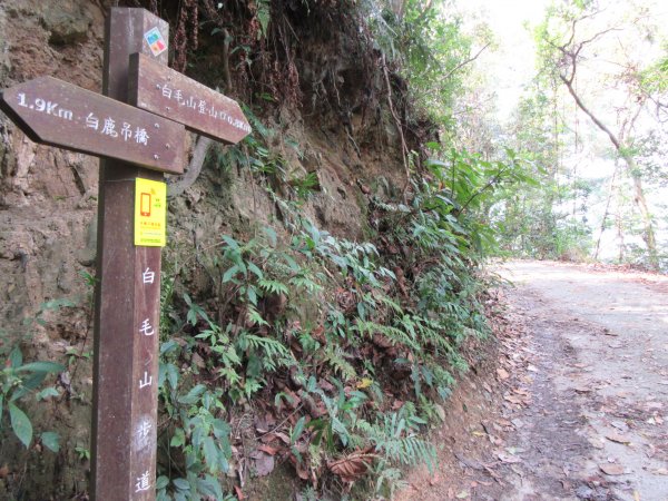20200321-白毛山886563